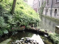 Bruges.