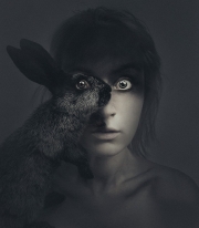 00.Flora_Borsi.Rabbit