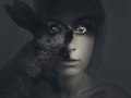 00.Flora_Borsi.Rabbit