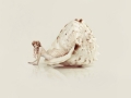 08.Flora_Borsi.coquille