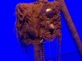 Exposition Jean Paul Gaultier