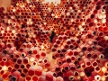 JeeYoung Lee. JeeYoung Lee.