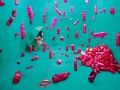 JeeYoung Lee. JeeYoung Lee.