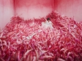 JeeYoung Lee. JeeYoung Lee.
