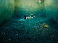 JeeYoung Lee. JeeYoung Lee.