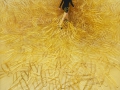 JeeYoung Lee. JeeYoung Lee.