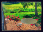 IMG_20140717_133204-EFFECTS