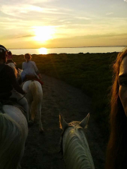 Les Randonneurs Amis de la Camargue.