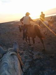 Les Randonneurs Amis de la Camargue.