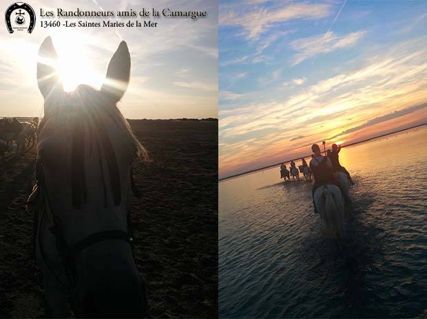 Promenade Camarguaise.