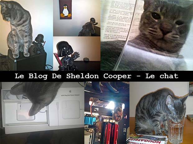 Le BLOG de Sheldon Cooper.